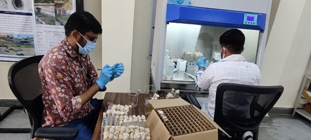 Development of Advanced Greywater Treatment Units for Rural Sustainability-5