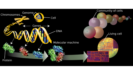 अगली पीढ़ी की ओएमआईसीएस प्रौद्योगिकियों और अनुप्रयोगों में स्नातकोत्तर डिप्लोमा