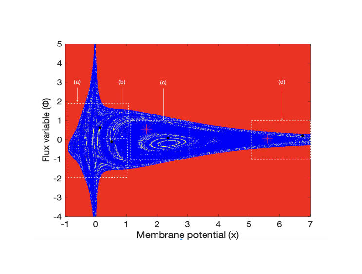 Study of reduced Chialvo map with electromagnetic flux: Dynamics and network behavior.